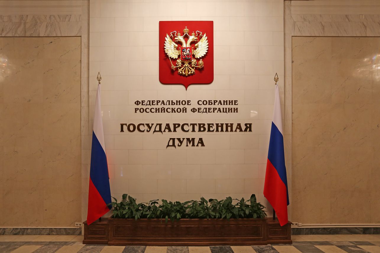 В ГД предложили дать преференции двум категориям пророссийски-настроенных иностранцев